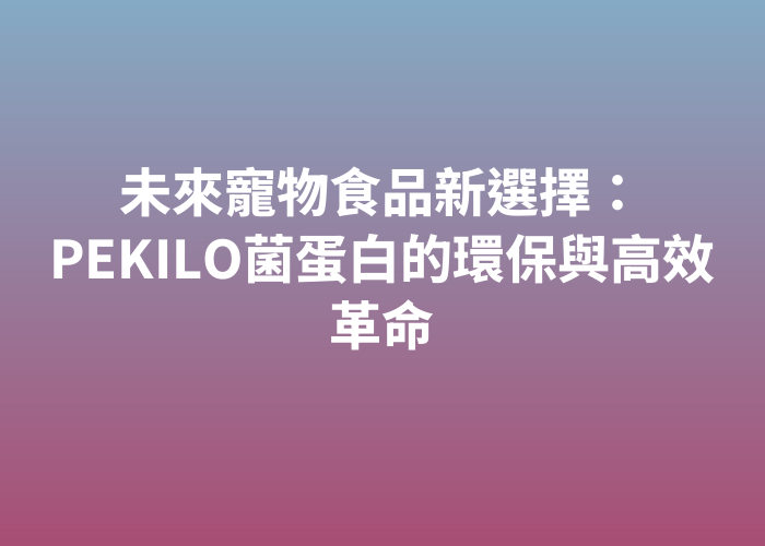 照片標題