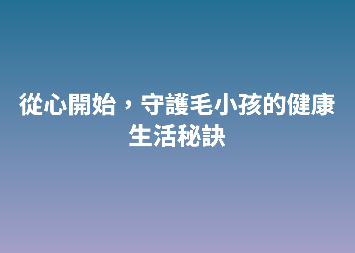 照片標題