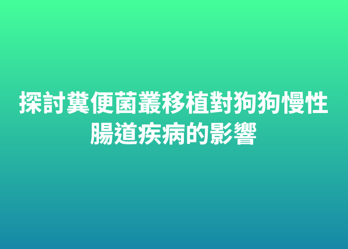 照片標題