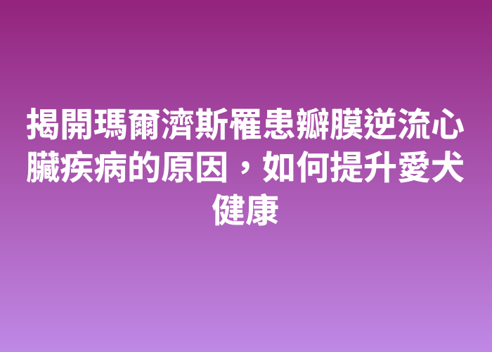 照片標題