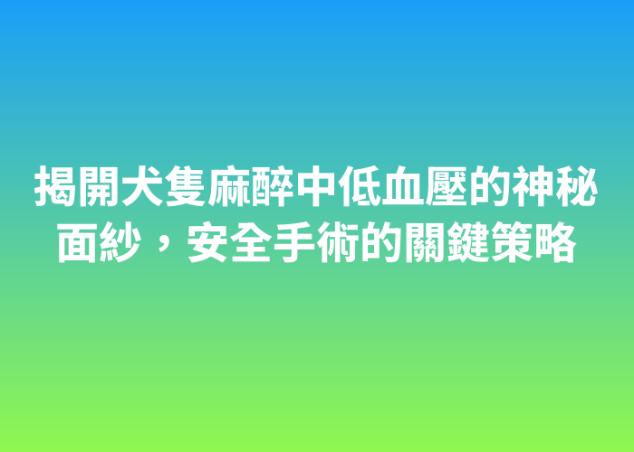 照片標題