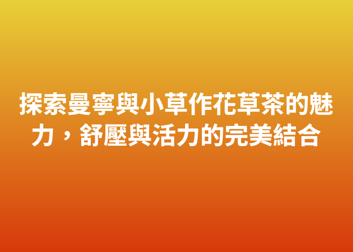 照片標題