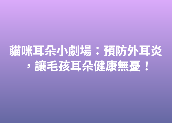 照片標題