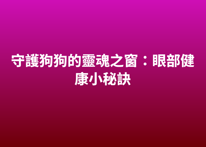 照片標題