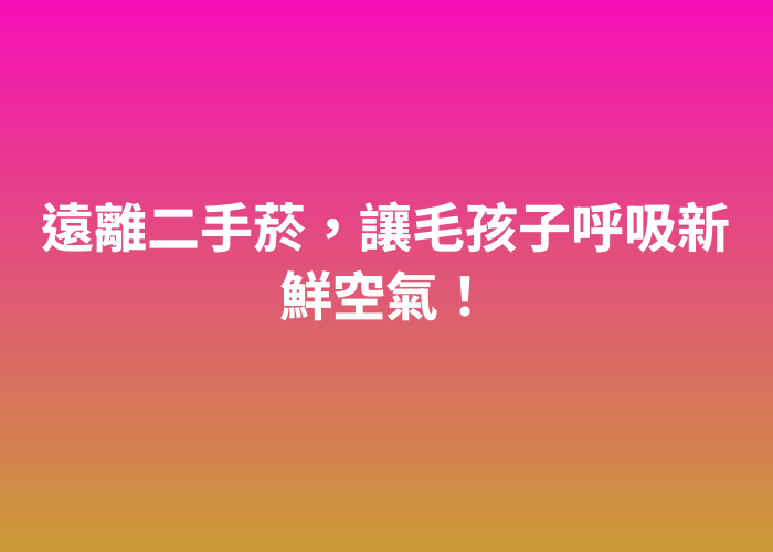 照片標題