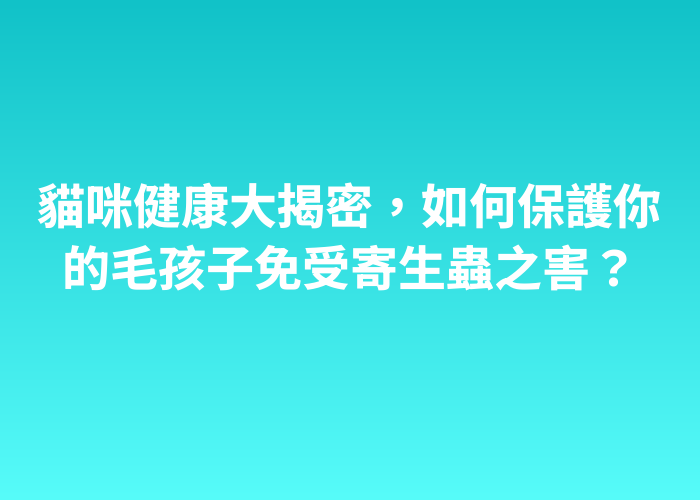 照片標題