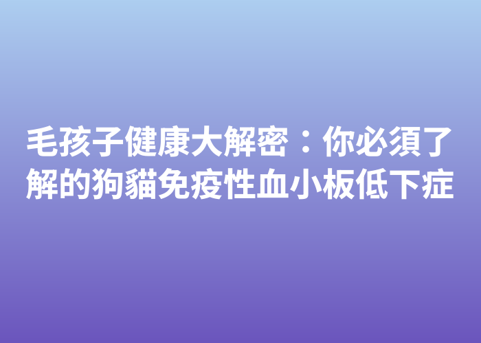 照片標題