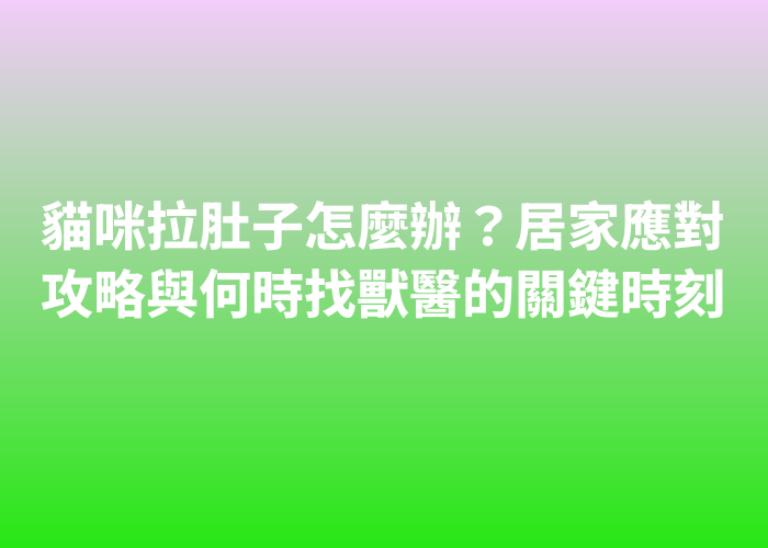 照片標題