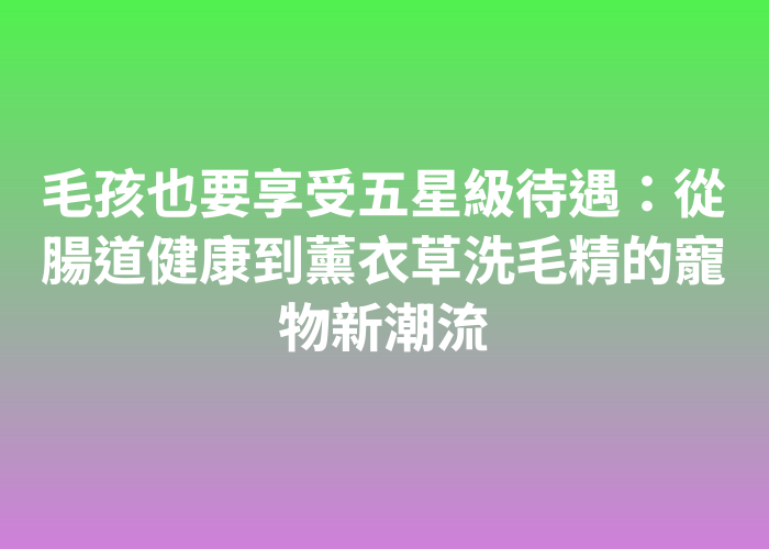 照片標題