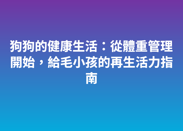 照片標題