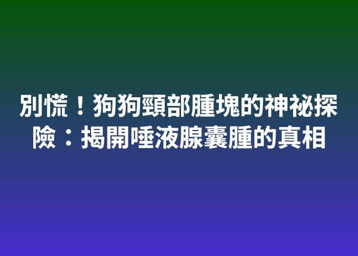 照片標題