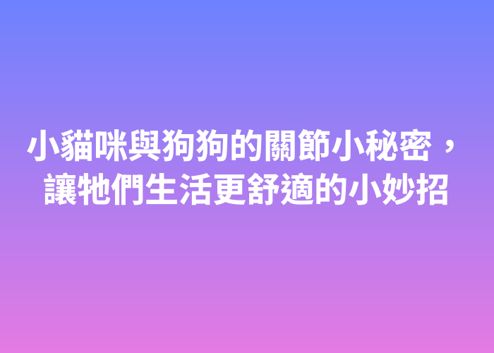 照片標題