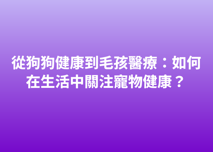 照片標題