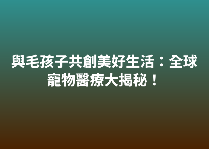 照片標題