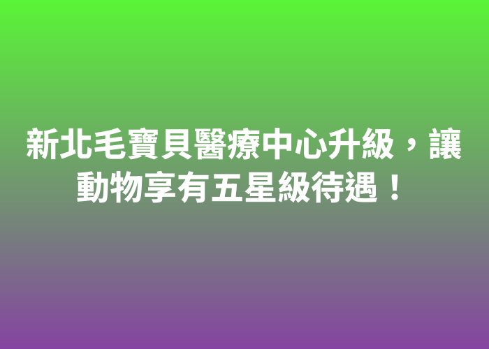 照片標題