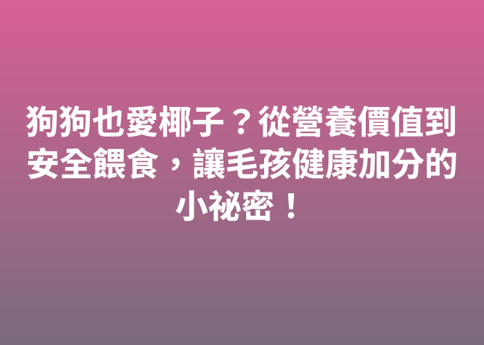 照片標題