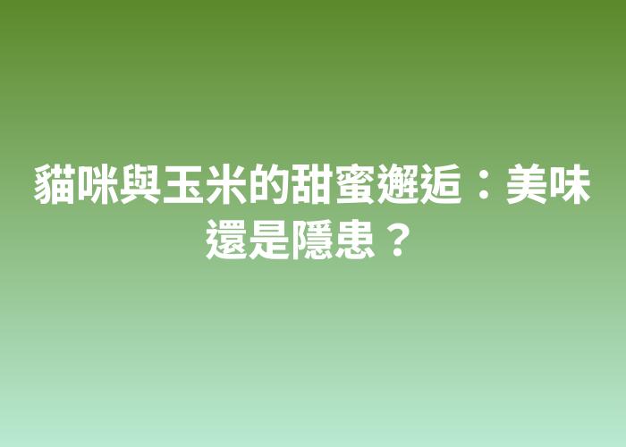 照片標題