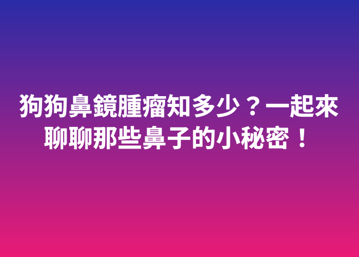 照片標題