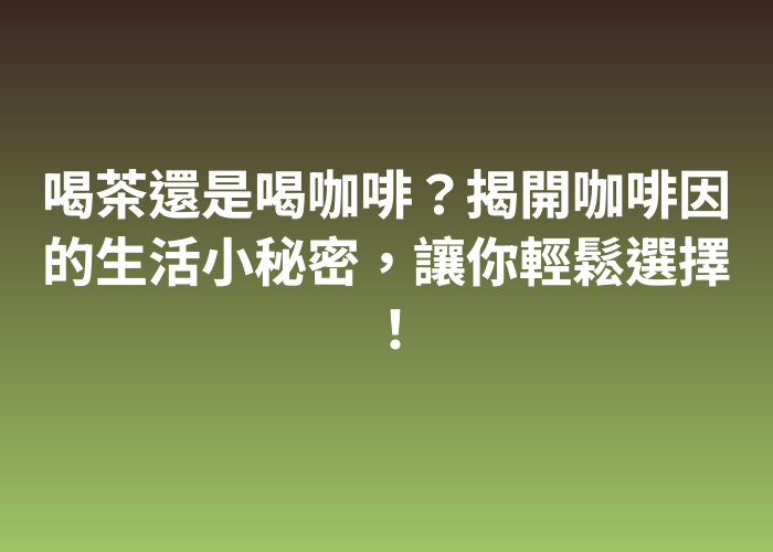 照片標題