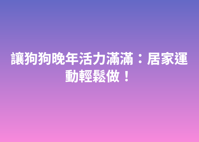照片標題