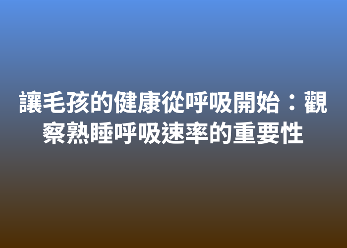 照片標題