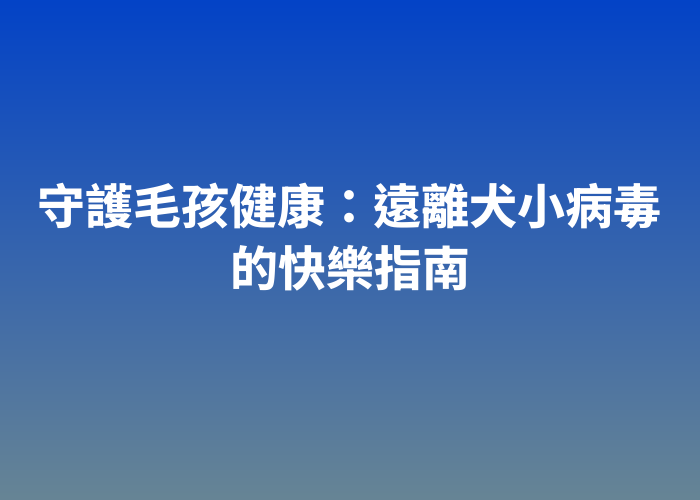 照片標題