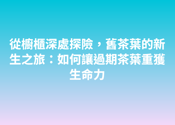 照片標題