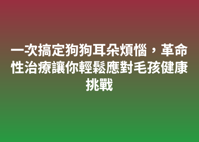 照片標題