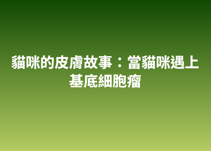 照片標題