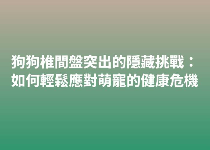照片標題