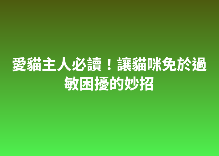照片標題
