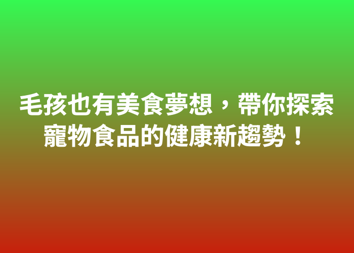 照片標題