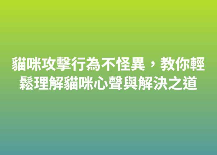 照片標題