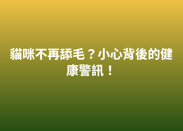 照片標題