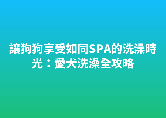 照片標題