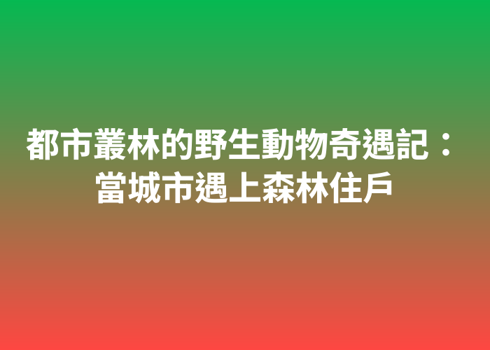 照片標題