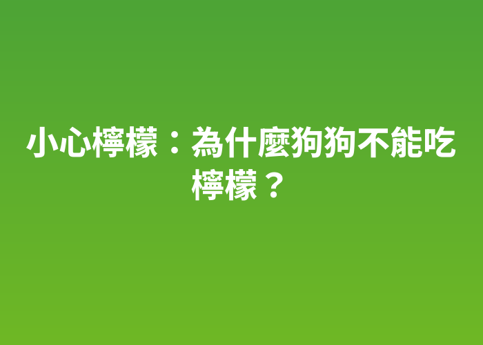 照片標題