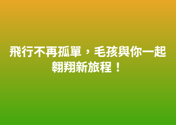 照片標題