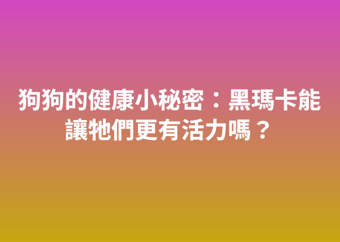 照片標題