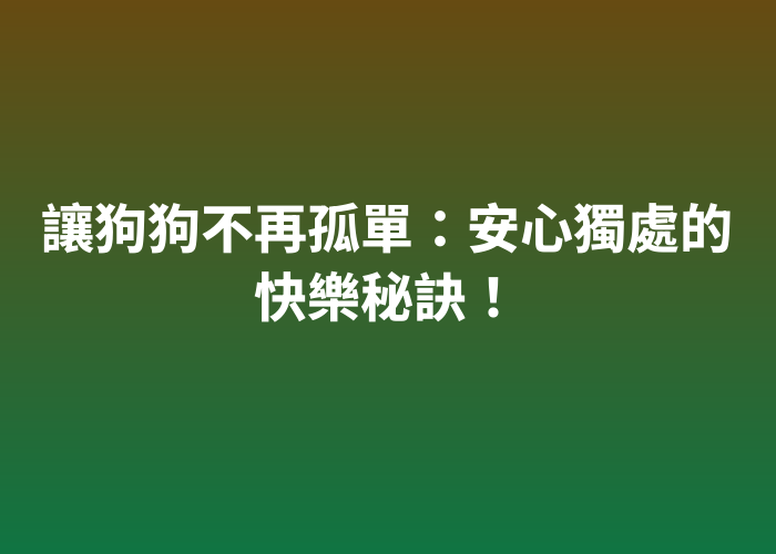 照片標題