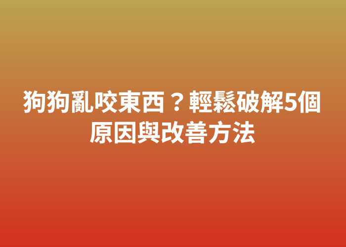 照片標題