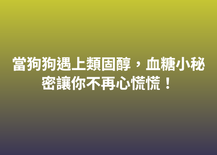 照片標題