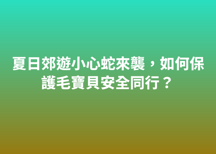 照片標題