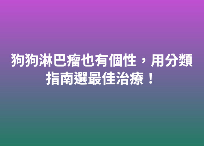 照片標題