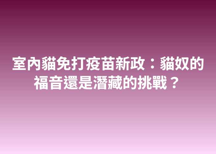 照片標題