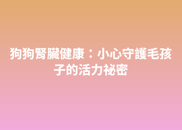 照片標題