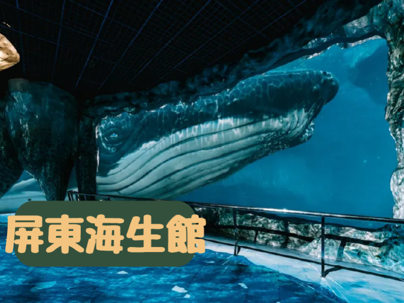 照片標題
