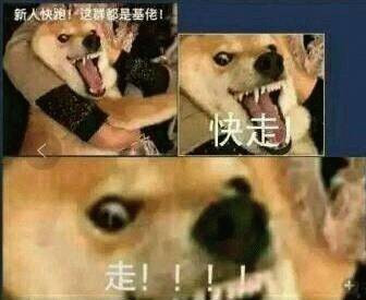 照片標題