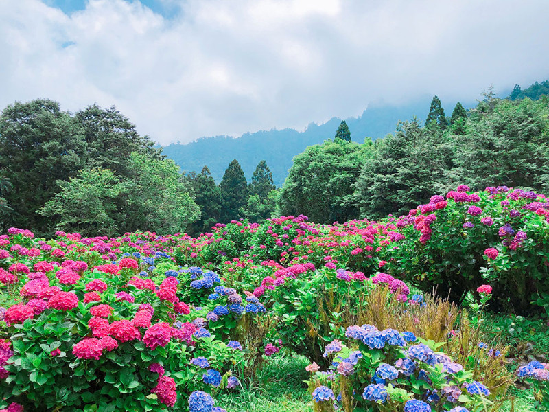 照片標題