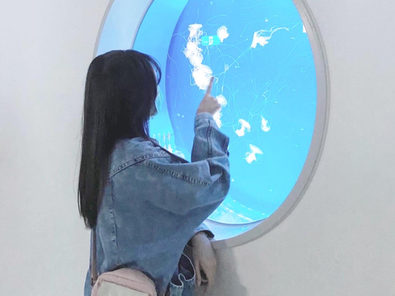 照片標題